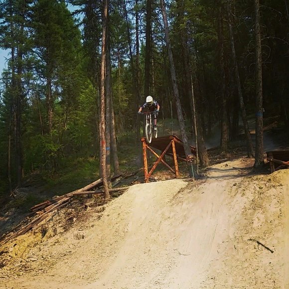 Meet your Posher, Patrick - Picture 1 of 1